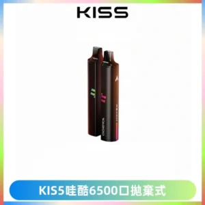 KIS5WAGOO哇酷6500口拋棄式 | 自由混搭雙口味 | 雙芯組合